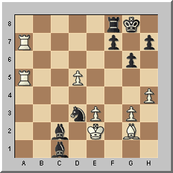 http://www.chessbase.com/news/2009/events/valencia19.gif